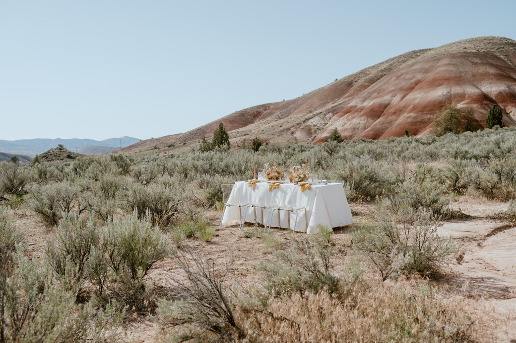 Earthy-Luxury-Painted-Hills-Styled-Shoot-The-Plan-01